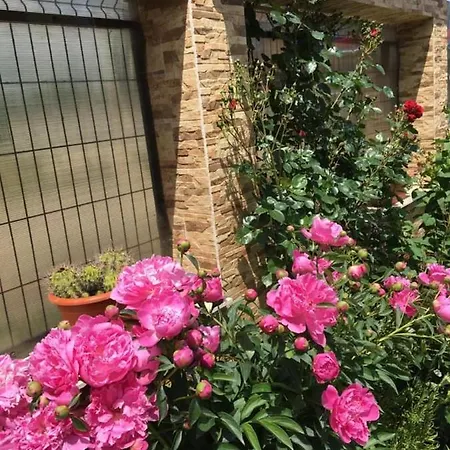 Casa Yva Black Sea Guest house Venus