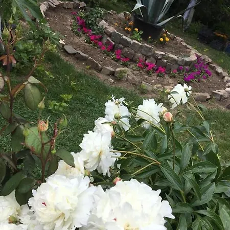Casa Yva Black Sea