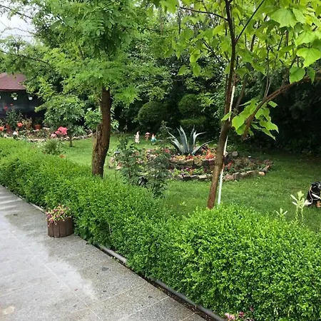 Guest house Casa Yva Black Sea