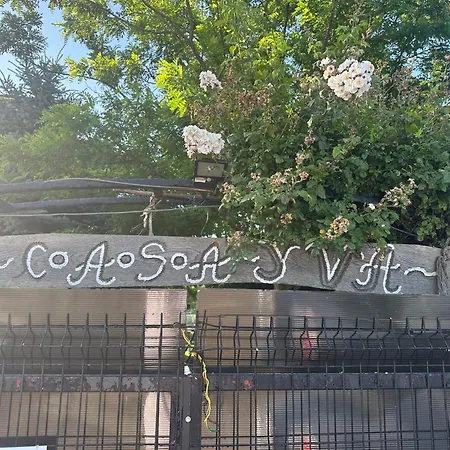 Casa Yva Black Sea Konukevi Venus